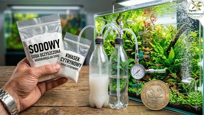 Zrobiłem CO2 za grosze! Soda, kwasek i zestaw z Chin 