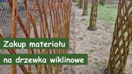 ZAKUP WIKLINY NA DRZEWKA .  PLANOWANIE I PRZYGOTOWANIA DO NOWEGO SEZONU.