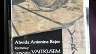 Alwida Antonina Bajor Książki Books by Alwida Antonina Bajor Alvyda Bajor
