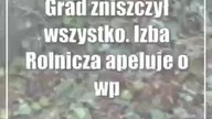 Grad zniszczył wszystko.  Izba Rolnicza apeluje o wprowadzenie klęski żywiołowej