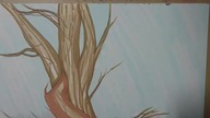 My vision in the forest! / Moja wizja w lesie!