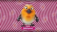 Music Box Polska - Dżingiel reklamowy (wiosna 2025)