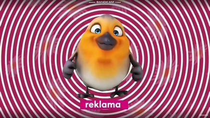 Music Box Polska - Dżingiel reklamowy (wiosna 2025)