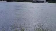 Wistula river 