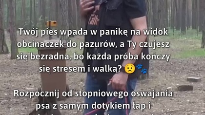 Pokonaj strach swojego psa przed obcinaczkami!  
#Psy #ObcinaniePazurów #PozytywneWzmocnienie