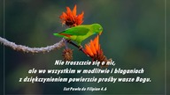Audycja Wyzwolony - Kevin Mazur