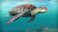 FAR CRY 3 W 2021 - CZY DAJE RADĘ?