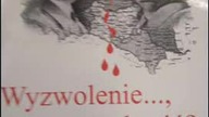 Wyzwolenie ale czy wolność