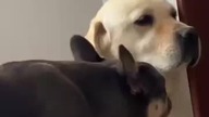 Wesołe spotkanie.