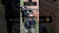 Dzień Chłopaka nadciaga