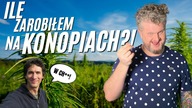 4,5 MILIONA W 30 MINUT! CZY KOMBINAT KONOPNY POBIJE REKORD? Maciej Kowalski x Mops #ROLLTALK