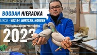 Bogdan Nieradka - gołębie Lini Vos 94,Houben, Pitbull, Panter - film gołębie 2023 - Nowy!