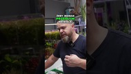 Ile filtrów potrzebuje Twoje akwarium?  #akwarystyka