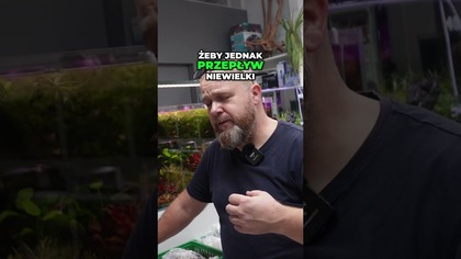 Ile filtrów potrzebuje Twoje akwarium?  #akwarystyka