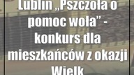 Lublin: Pszczoła o pomoc woła - konkurs dla mieszkańców z okazji Wielkiego Dnia Pszczół