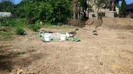 #320 Lubczyk - ocalić przed zniszczeniem!