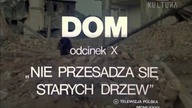 10) DOM pięknisty, mądry polski serial ...