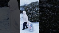 Śniegu ledwo co...   #shorts #humor #szok #strach #nawesolo #polarny #snieg #zima #niedzwiedz