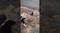 Kiedy patrzysz w nicość, a nicość patrzy na ciebie.  #shorts