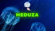 Nieśmiertelne Stworzenie Odnalezione! Czy nieśmiertelność jest teraz w naszym zasięgu? #shorts
