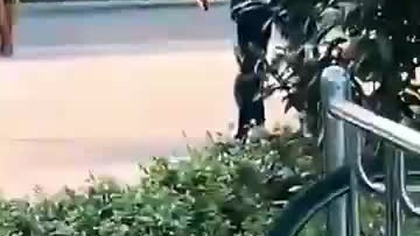 Inżynier w pracy...  przecież nie wolno mu przeszkadzać.. mp4 686x432