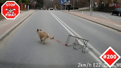 STOP PIRAT #200 - Niebezpieczne i codzienne sytuacje na drogach