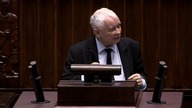 Grzegorz Braun - wszystkie NIEWYGODNE wypowiedzi przed wykluczeniem z obrad Sejmu