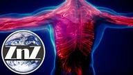 Mikroplastik po raz pierwszy znaleziono w ludzkiej krwi