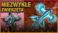 10 NAJDZIWNIEJSZYCH ZWIERZAT