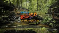 Czego możemy się nauczyć od kardynała Wyszyńskiego?