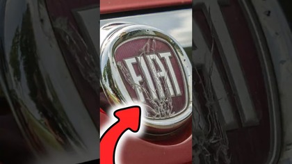 Porażka totalna Punto