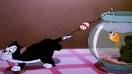 Figaro - Figaro i Cleo