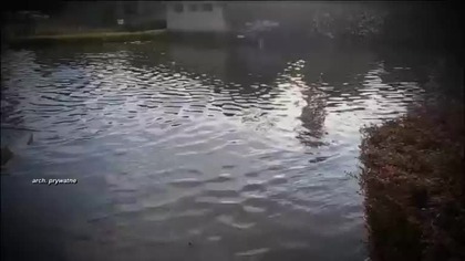 Po deszczu osiedle zamienia się w staw.  Dzieci wyjmują pontony mp4 686x432