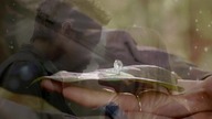 The. Secret. Circle. SO1E15. Return.pl
