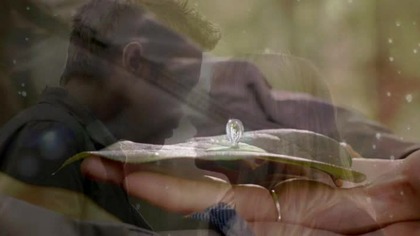 The. Secret. Circle. SO1E15. Return.pl