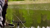 Maluszek z glinianki PZW #wędkarstwo #fishing #fish #feeder #pzw #carpfishing #carp