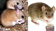 Wielki wybuch i Biblia Creation Magazine LIVE! 7 08