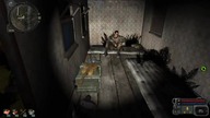 S. T. A. L. K. E. R. :Łącznik#2-Schizy na golasa
