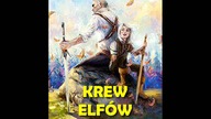 29 Wiedźmin Krew elfow - Rozdział 5 - CDA