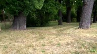 Podziemna rzeka Lamus