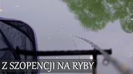 Z SZOPENCJI NA RYBY - RZEKA OBRA