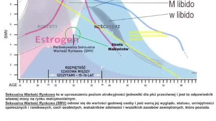 seksualna teoria względności Andrzeja misiarz dodałem linię prawdopodobieństwa rozwodu