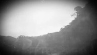 COAL CHAMBER - The Bridges You Burn