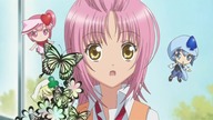 Shugo Chara 70 Lektor PL