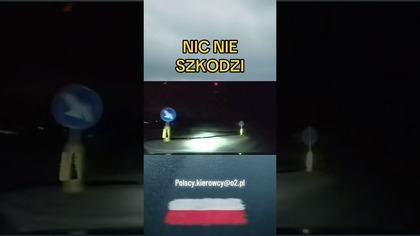 Auto wypada z drogi, a pasażer spokojny jak skała.  Zobacz reakcję! #droga #spokój #shorts