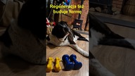 Regeneracja też buduje formę  | Forma na co dzień