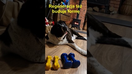 Regeneracja też buduje formę  | Forma na co dzień
