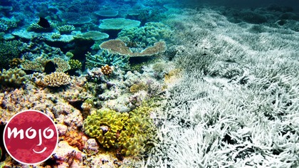 Top 10 Natural Wonders That Will Be Gone Soon