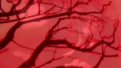 Danzig - On A Wicked Night (Official Video) (2010) [4K Remastered AI Upscaled]