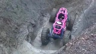 Pink on Tub Rock